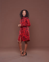 Vema Shirt Dress