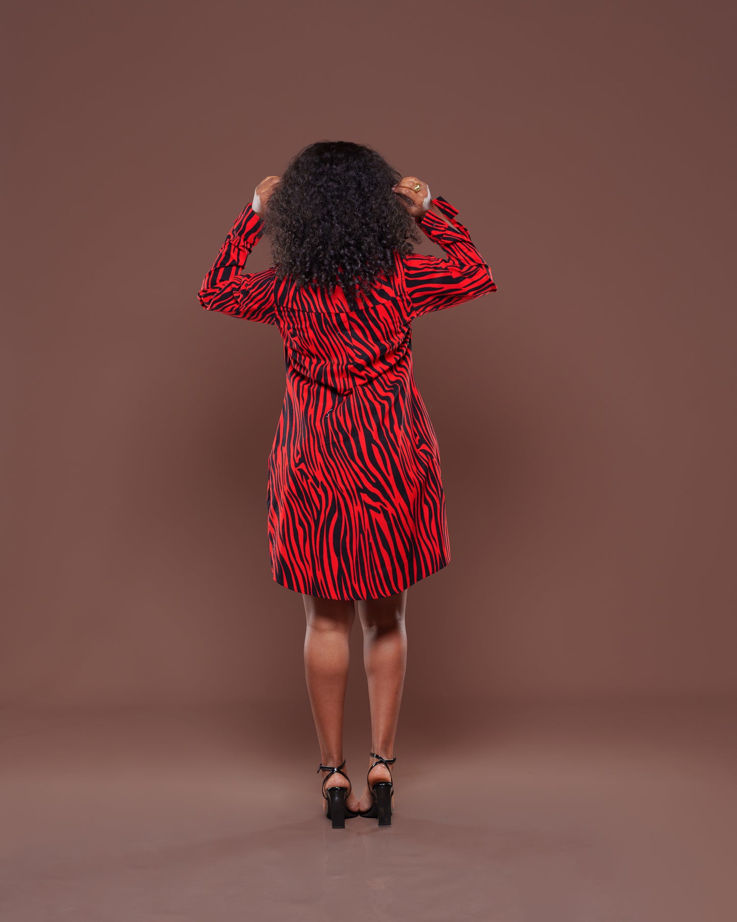Vema Shirt Dress