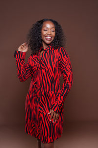 Vema Shirt Dress