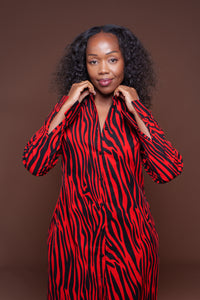Vema Shirt Dress