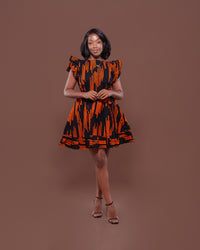 Bonita Shift Dress in Trixy