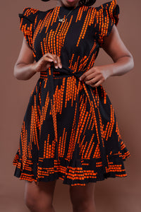 Bonita Shift Dress in Trixy